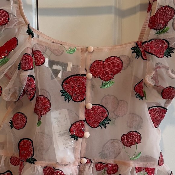 Sheer Top Shop Strawberry and Cherry Mesh Shirt - Picture 2 of 3
